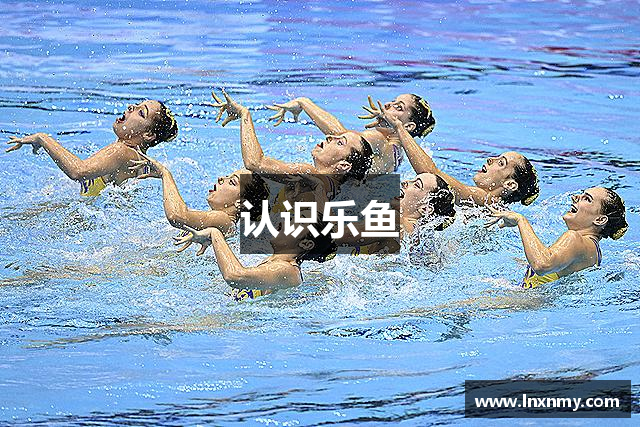 认识乐鱼